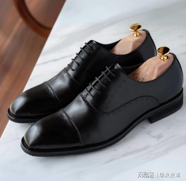 化论：从功能到时尚的百年演变千亿球友会知识分享｜鞋型进(图2)