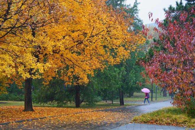 被冻哭的年轻人焊身上了300元一件的滑雪服(图2)